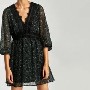 Zara Basic Floral Lace Applique Dress NWT
